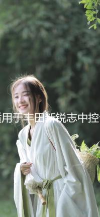 適用于豐田新銳志中控臺(tái)儀表盤防曬避光墊汽車爆改裝內(nèi)飾配件用品