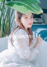 車載純低音炮汽車小車12V大貨車24V超重低音有源藍(lán)牙功放音響改裝