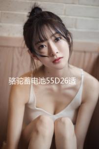 駱駝蓄電池55D26適配馬自達(dá)5索納塔凱美瑞60ah汽車電瓶 以舊換新